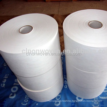 PLA biodegradable fabric( CL0101)